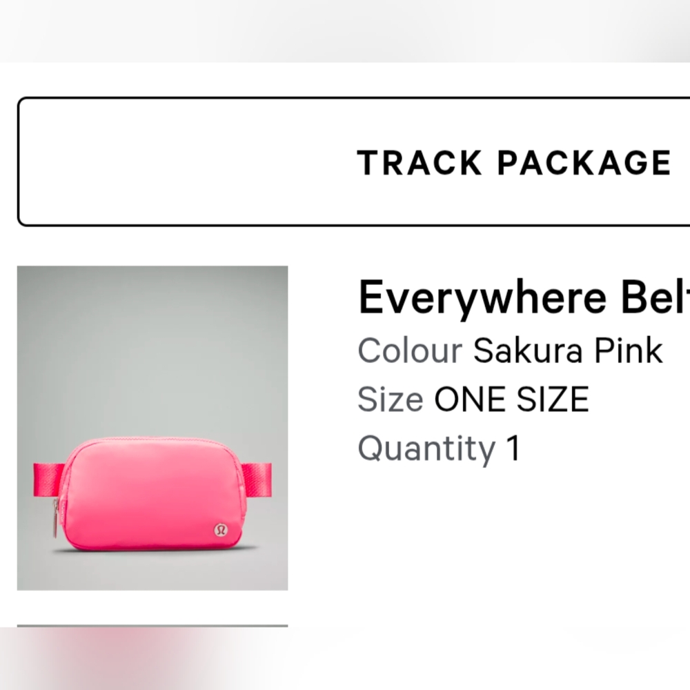 Lululemon Belt Bag